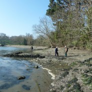Field meeting – Sunday 13th March 2016 – north of Torpoint, SX45